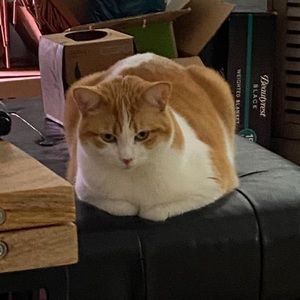 Meet your Posher, Margo